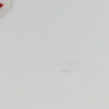 Mike Singletary - Image 4